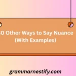 Other Ways to Say Nuance