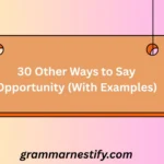 Other Ways to Say Opportunity