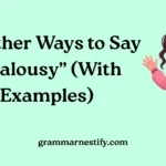 Other Ways to Say “Jealousy”