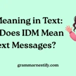 IDM Meaning in Text