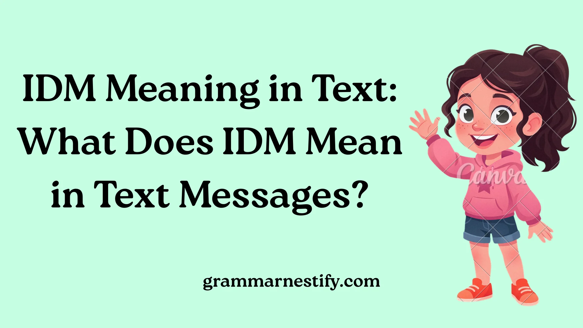 IDM Meaning in Text
